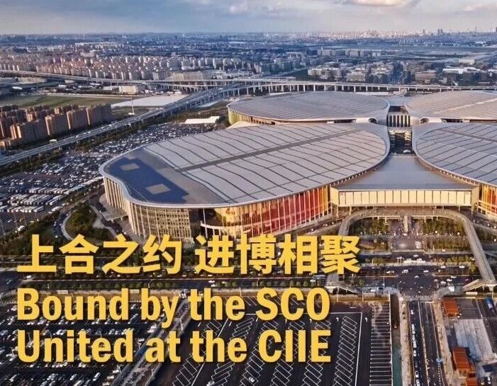 上合之约 进博相聚！