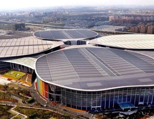 A Data Snapshot of the Eighth CIIE