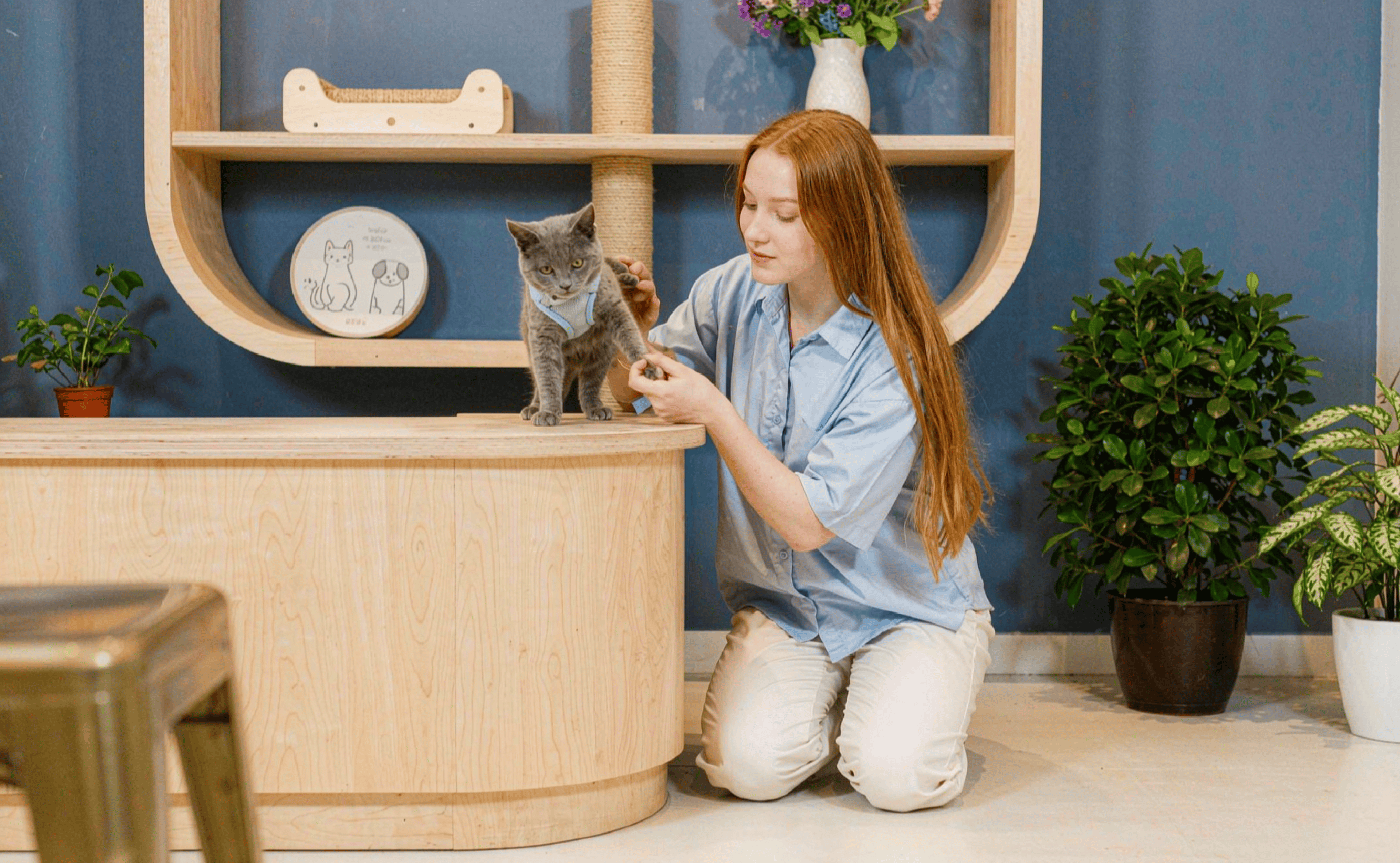 [Hai Guide] How to Access Pet Lounge at Shanghai Hongqiao International Airport