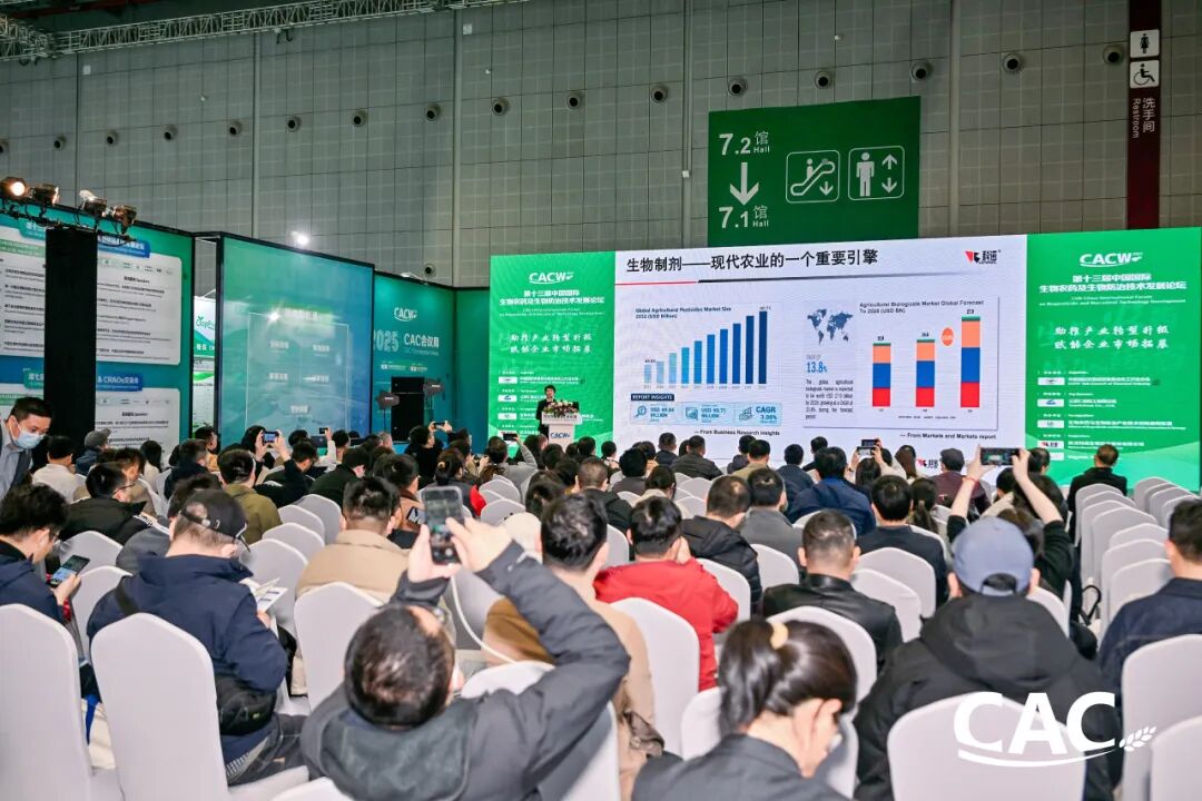 ia_1100001874.jpg ia_1100001874.jpg