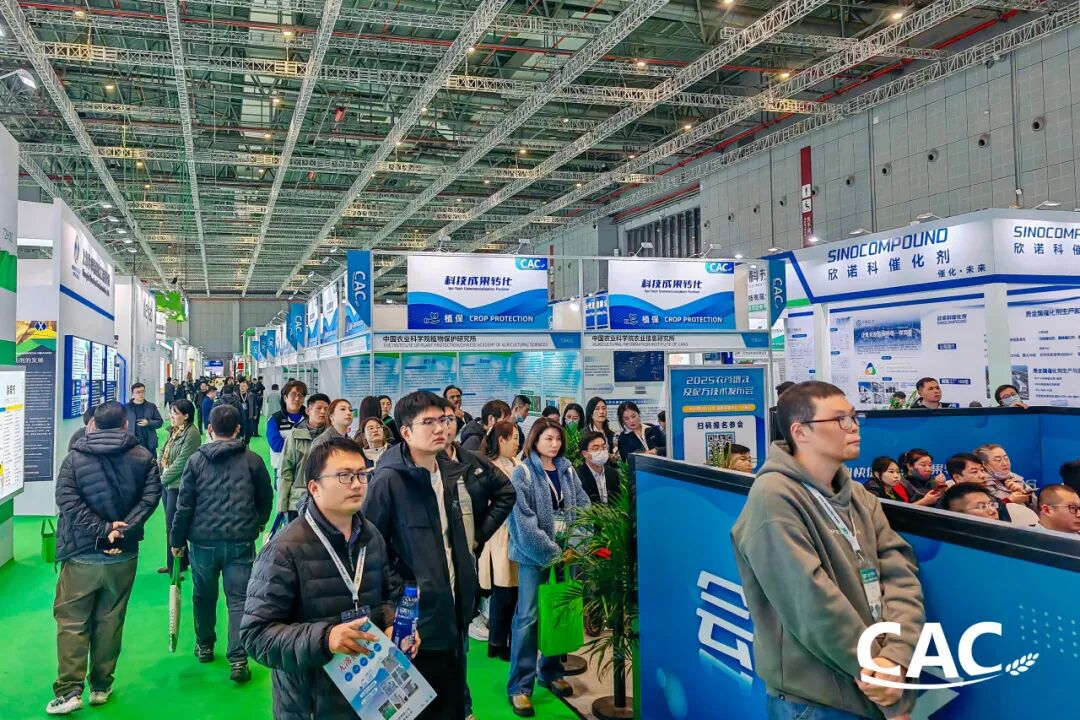 ia_1100001884.jpg ia_1100001884.jpg