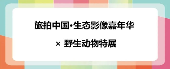13.png 13.png