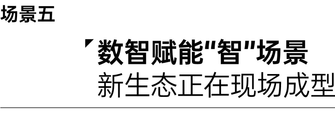 ia_8300001489.jpg