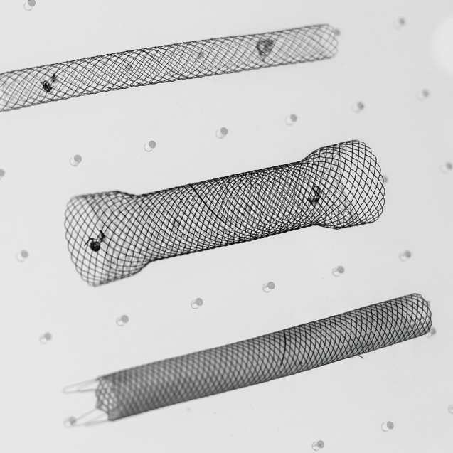 ia_9900001606.jpg ia_9900001606.jpg