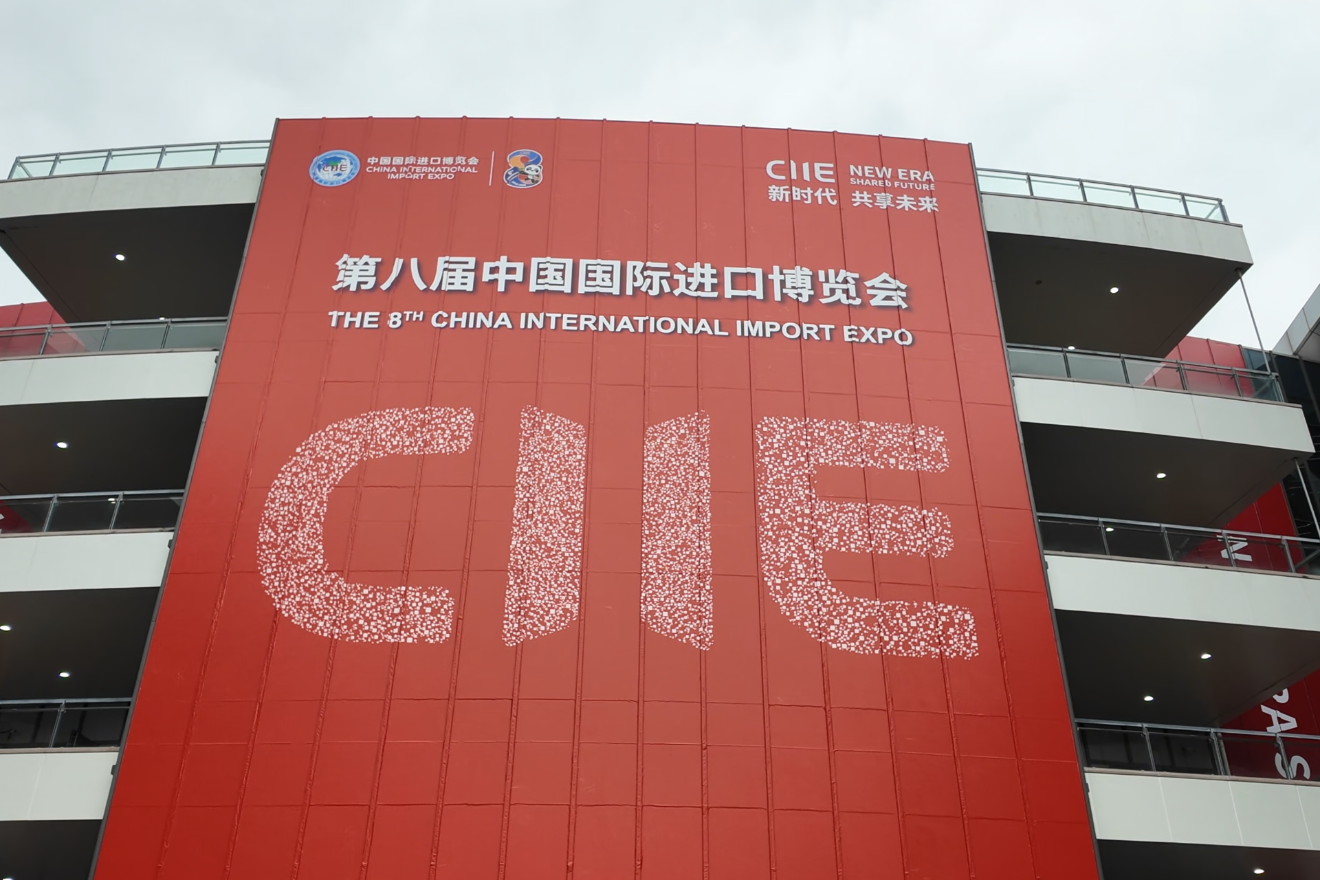 与365展贸网同行进博：见证坚守、包容与未来的力量